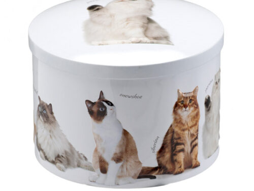 Lata caramelos fudge vainilla