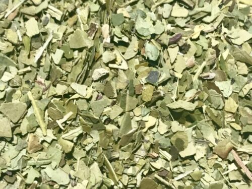 Infusión Yerba mate